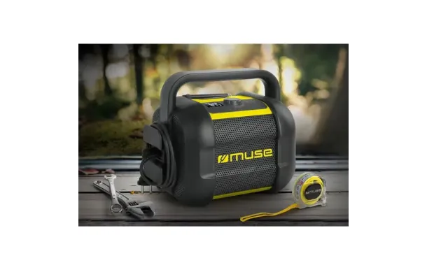 MUSE Radio Batterie MUSE  M968BTY